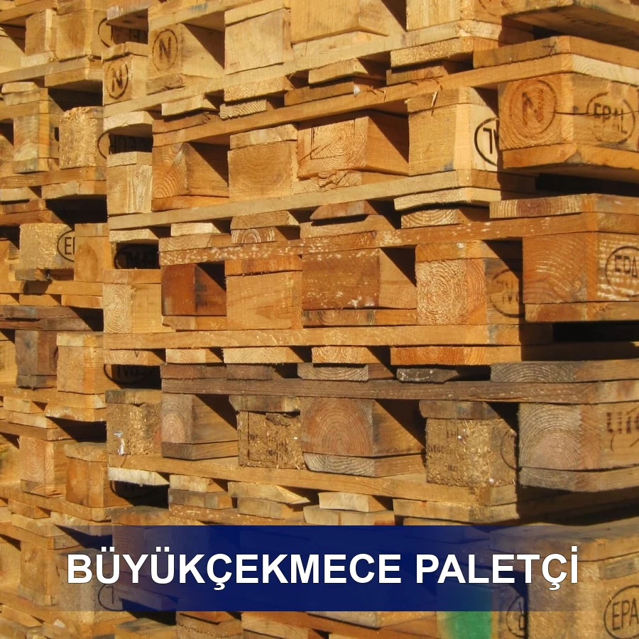 Büyükçekmece Paletçi